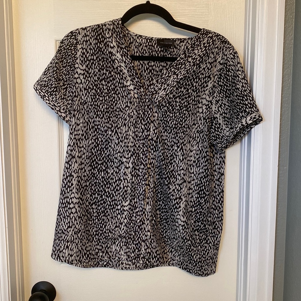 The Limited Blouse